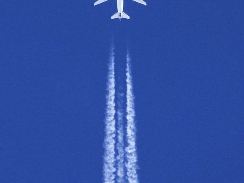 flight